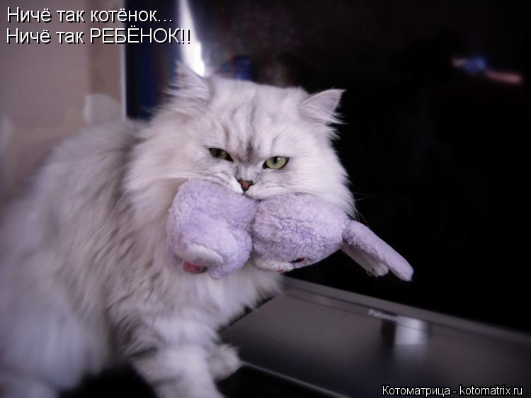 Ничё так котёнок... Ничё так РЕБЁНОК!!... Котоматрица: Ничё так котёнок... Ничё так РЕБЁНОК!!