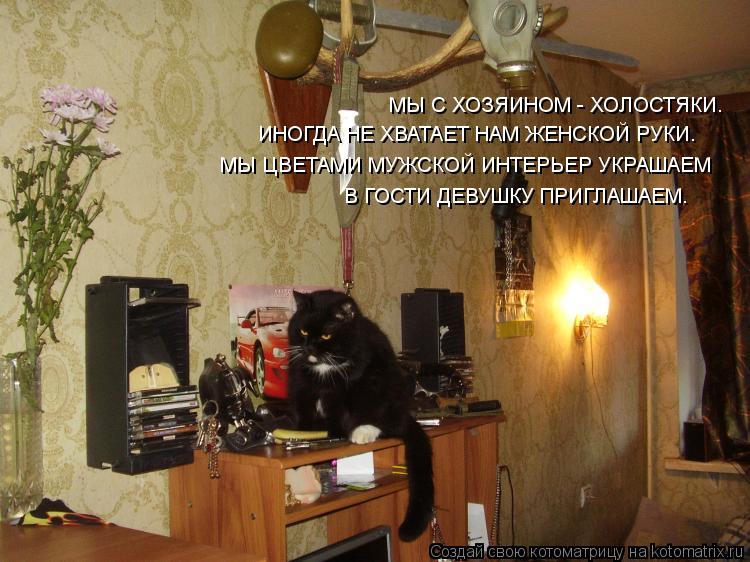 МЫ С ХОЗЯИНОМ - ХОЛОСТЯКИ. ИНОГДА НЕ ХВАТАЕТ НАМ ЖЕНСКОЙ РУКИ. МЫ ЦВЕТАМИ МУЖСКОЙ ИНТЕРЬЕР УКРАШАЕМ В... Котоматрица: МЫ С ХОЗЯИНОМ - ХОЛОСТЯКИ. ИНОГДА НЕ ХВАТАЕТ НАМ ЖЕНСКОЙ РУКИ. МЫ ЦВЕТАМИ МУЖСКОЙ ИНТЕРЬЕР УКРАШАЕМ В ГОСТИ ДЕВУШКУ ПРИГЛАШАЕМ.