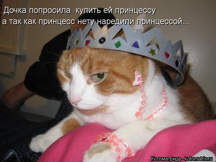 Дочка попросила купить ей принцессу а так как принцесс нету наредили принцессой...... Котоматрица: Дочка попросила купить ей принцессу а так как принцесс нету наредили принцессой...