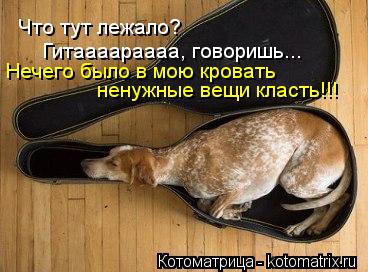 Что тут лежало? Гитаааараааа, говоришь... Нечего было в мою кровать ненужные вещи класть!!!... Котоматрица: Что тут лежало? Гитаааараааа, говоришь... Нечего было в мою кровать ненужные вещи класть!!!