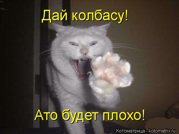 Дай колбасу! Ато будет плохо!... Котоматрица: Дай колбасу! Ато будет плохо!
