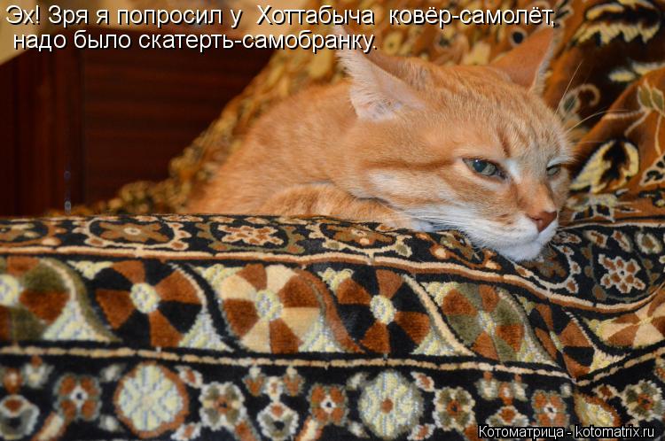 Эх! Зря я попросил у Хоттабыча ковёр-самолёт, надо было скатерть-самобранку.... Котоматрица: Эх! Зря я попросил у Хоттабыча ковёр-самолёт, надо было скатерть-самобранку.