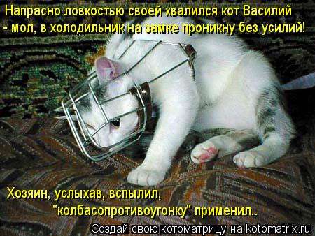 Напрасно ловкостью своей хвалился кот Василий - мол, в холодильник на замке проникну без усилий! Хозя... Котоматрица: Напрасно ловкостью своей хвалился кот Василий - мол, в холодильник на замке проникну без усилий! Хозяин, услыхав, вспылил, "колбасопротивоуг