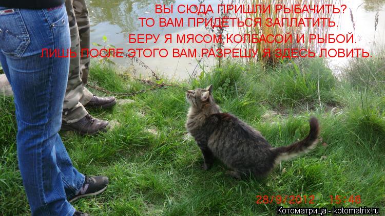 ВЫ СЮДА ПРИШЛИ РЫБАЧИТЬ? БЕРУ Я МЯСОМ,КОЛБАСОЙ И РЫБОЙ. ТО ВАМ ПРИДЁТЬСЯ ЗАПЛАТИТЬ. ЛИШЬ ПОСЛЕ ЭТОГО ... Котоматрица: ВЫ СЮДА ПРИШЛИ РЫБАЧИТЬ? БЕРУ Я МЯСОМ,КОЛБАСОЙ И РЫБОЙ. ТО ВАМ ПРИДЁТЬСЯ ЗАПЛАТИТЬ. ЛИШЬ ПОСЛЕ ЭТОГО ВАМ РАЗРЕШУ Я ЗДЕСЬ ЛОВИТЬ.