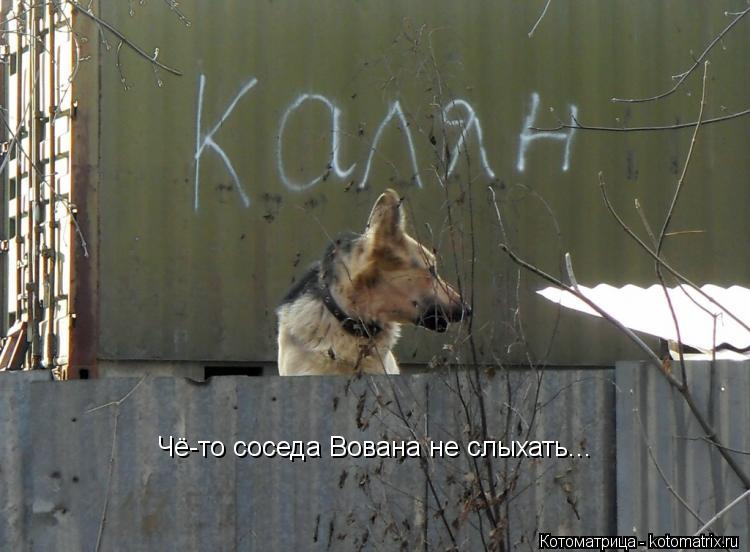 Чё-то соседа Вована не слыхать...... Котоматрица: Чё-то соседа Вована не слыхать...