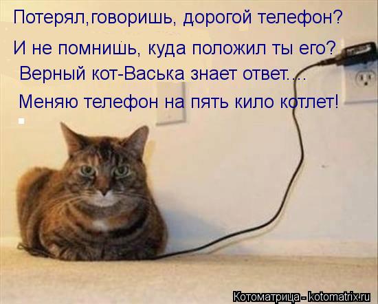 Потерял,говоришь, дорогой телефон? И не помнишь, куда положил ты его? Верный кот-Васька знает ответ..... Котоматрица: Потерял,говоришь, дорогой телефон? И не помнишь, куда положил ты его? Верный кот-Васька знает ответ.... Меняю телефон на пять кило котлет!