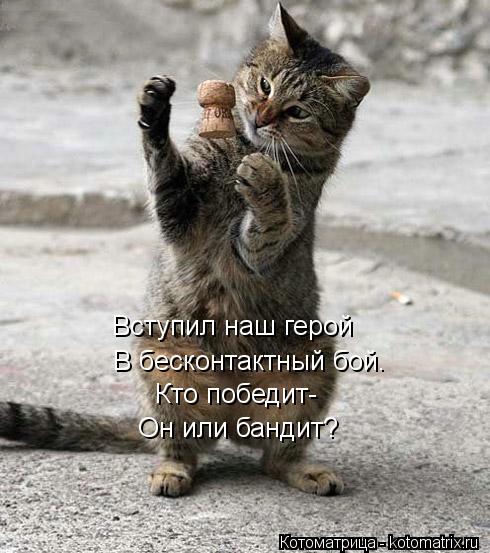 Вступил наш герой В бесконтактный бой. Кто победит- Он или бандит?... Котоматрица: Вступил наш герой В бесконтактный бой. Кто победит- Он или бандит?