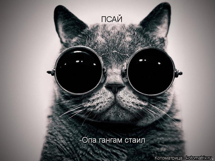 ПСАЙ -Опа гангам стаил... Котоматрица: ПСАЙ -Опа гангам стаил