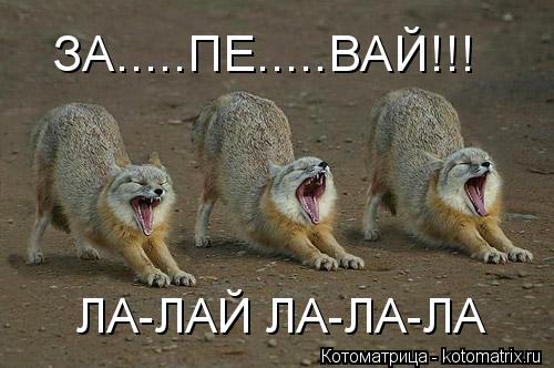 ЗА.....ПЕ.....ВАЙ!!! ЛА-ЛАЙ ЛА-ЛА-ЛА... Котоматрица: ЗА.....ПЕ.....ВАЙ!!! ЛА-ЛАЙ ЛА-ЛА-ЛА
