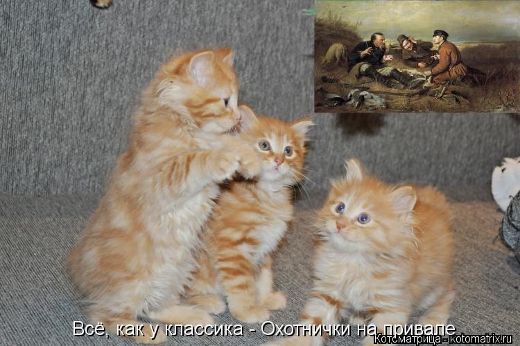 Всё, как у классика - Охотнички на привале... Котоматрица: Всё, как у классика - Охотнички на привале