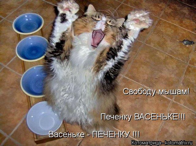 Свободу мышам! Печенку ВАСЕНЬКЕ!!! Васеньке - ПЕЧЕНКУ !!!... Котоматрица: Свободу мышам! Печенку ВАСЕНЬКЕ!!! Васеньке - ПЕЧЕНКУ !!!