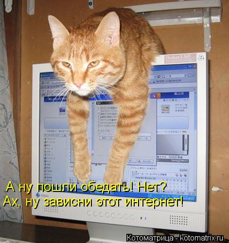 А ну пошли обедать! Нет? Ах, ну зависни этот интернет!... Котоматрица: А ну пошли обедать! Нет? Ах, ну зависни этот интернет!