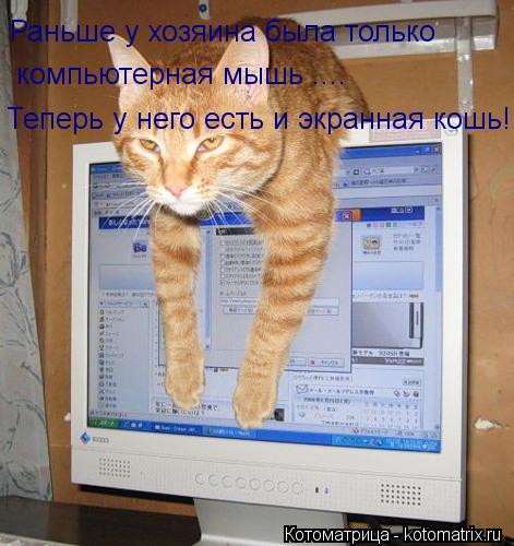 Раньше у хозяина была только компьютерная мышь .... Теперь у него есть и экранная кошь!... Котоматрица: Раньше у хозяина была только компьютерная мышь .... Теперь у него есть и экранная кошь!