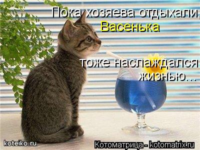 Пока хозяева отдыхали, Васенька тоже наслаждался жизнью...... Котоматрица: Пока хозяева отдыхали, Васенька тоже наслаждался жизнью...