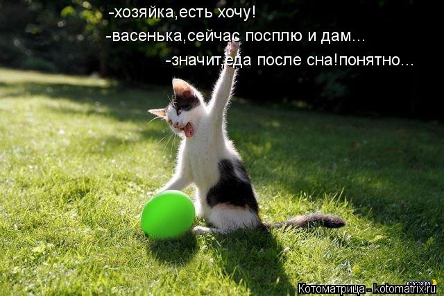 -хозяйка,есть хочу! -васенька,сейчас посплю и дам... -значит,еда после сна!понятно...... Котоматрица: -хозяйка,есть хочу! -васенька,сейчас посплю и дам... -значит,еда после сна!понятно...
