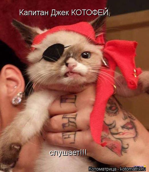 Капитан Джек КОТОФЕЙ, слушает!!!... Котоматрица: Капитан Джек КОТОФЕЙ, слушает!!!