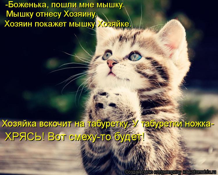 -Боженька, пошли мне мышку. Мышку отнесу Хозяину. Хозяин покажет мышку Хозяйке. Хозяйка вскочит на та... Котоматрица: -Боженька, пошли мне мышку. Мышку отнесу Хозяину. Хозяин покажет мышку Хозяйке. Хозяйка вскочит на табуретку. У табуретки ножка- ХРЯСЬ! Вот с