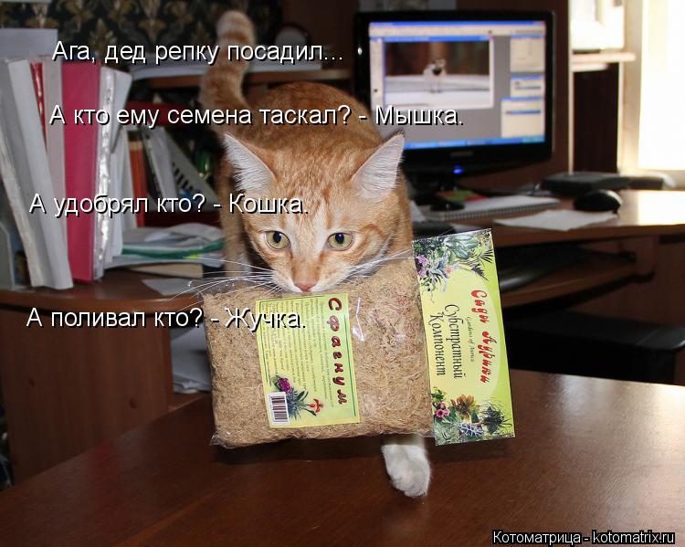 Ага, дед репку посадил... А кто ему семена таскал? - Мышка. А удобрял кто? - Кошка. А поливал кто? - ... Котоматрица: Ага, дед репку посадил... А кто ему семена таскал? - Мышка. А удобрял кто? - Кошка. А поливал кто? - Жучка.
