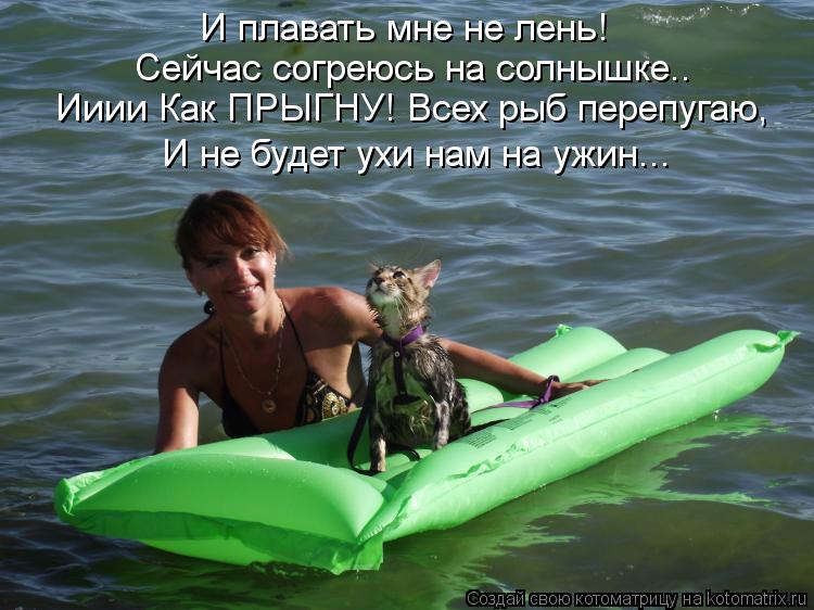 И плавать мне не лень! Сейчас согреюсь на солнышке.. Ииии Как ПРЫГНУ! Всех рыб перепугаю, И не буде... Котоматрица: И плавать мне не лень! Сейчас согреюсь на солнышке.. Ииии Как ПРЫГНУ! Всех рыб перепугаю, И не будет ухи нам на ужин...