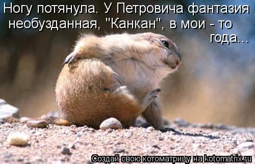 Ногу потянула. У Петровича фантазия необузданная, "Канкан", в мои - то года...... Котоматрица: Ногу потянула. У Петровича фантазия необузданная, "Канкан", в мои - то года...