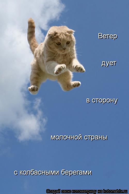 Ветер дует в сторону молочной страны с колбасными берегами... Котоматрица: Ветер дует в сторону молочной страны с колбасными берегами