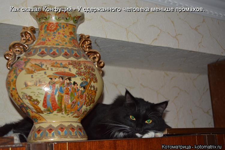 Как сказал Конфуций - У сдержанного человека меньше промахов.... Котоматрица: Как сказал Конфуций - У сдержанного человека меньше промахов.
