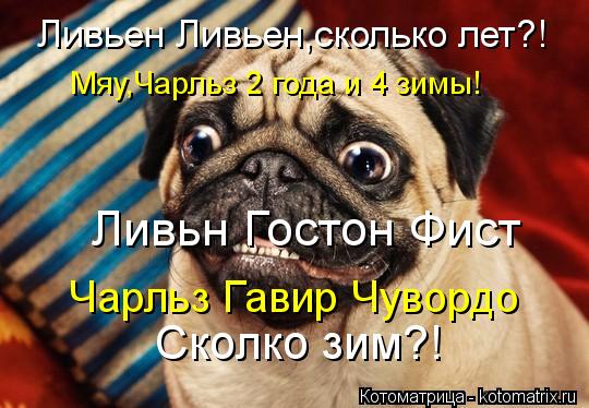 Ливьен Ливьен,сколько лет?! Сколко зим?! Мяу,Чарльз 2 года и 4 зимы! Чарльз Гавир Чувордо Ливьн Госто... Котоматрица: Ливьен Ливьен,сколько лет?! Сколко зим?! Мяу,Чарльз 2 года и 4 зимы! Чарльз Гавир Чувордо Ливьн Гостон Фист