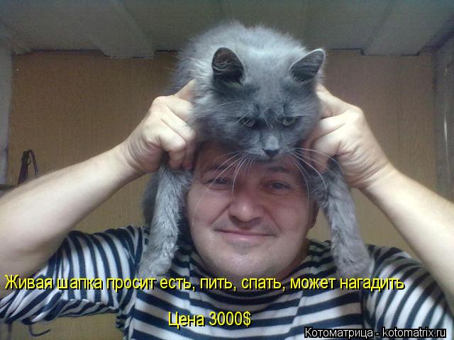 Живая шапка просит есть, пить, спать, может нагадить Цена 3000$... Котоматрица: Живая шапка просит есть, пить, спать, может нагадить Цена 3000$