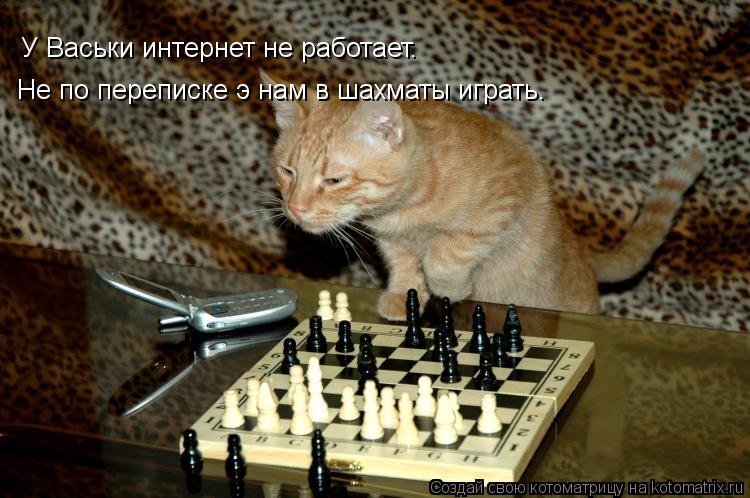 У Васьки интернет не работает. Не по переписке э нам в шахматы играть.... Котоматрица: У Васьки интернет не работает. Не по переписке э нам в шахматы играть.