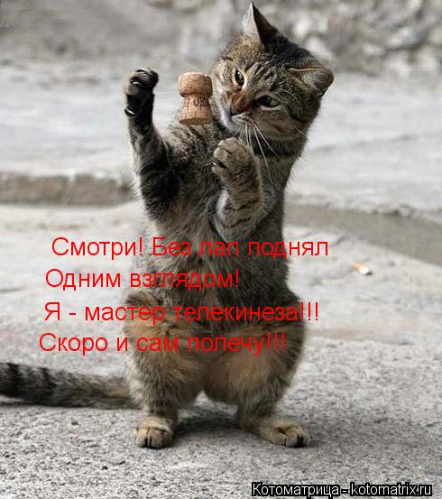 Смотри! Без лап поднял Одним взглядом! Я - мастер телекинеза!!! Скоро и сам полечу!!!... Котоматрица: Смотри! Без лап поднял Одним взглядом! Я - мастер телекинеза!!! Скоро и сам полечу!!!