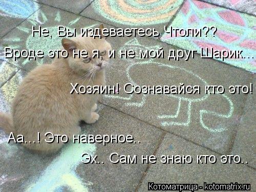 Не, Вы издеваетесь Чтоли?? Вроде это не я, и не мой друг Шарик... Хозяин! Сознавайся кто это! Аа...! ... Котоматрица: Не, Вы издеваетесь Чтоли?? Вроде это не я, и не мой друг Шарик... Хозяин! Сознавайся кто это! Аа...! Это наверное.. Эх.. Сам не знаю кто это..
