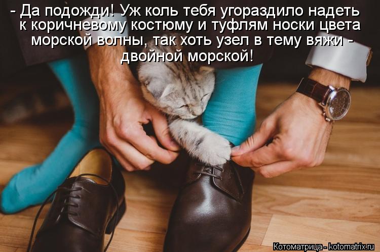 - Да подожди! Уж коль тебя угораздило надеть к коричневому костюму и туфлям носки цвета морской волны... Котоматрица: - Да подожди! Уж коль тебя угораздило надеть к коричневому костюму и туфлям носки цвета морской волны, так хоть узел в тему вяжи - двойной мор
