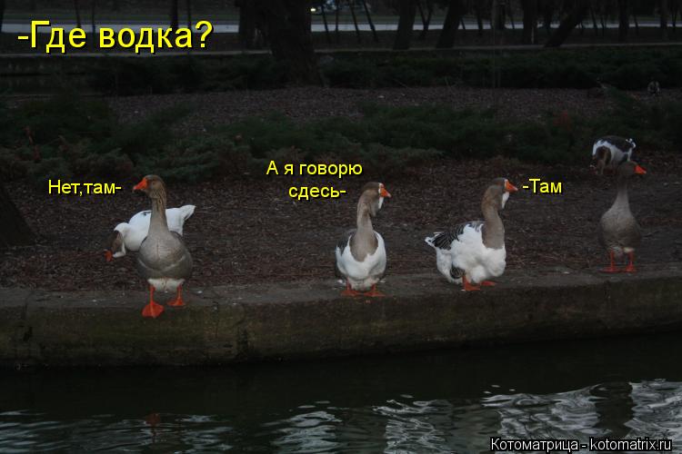 -Где водка? -Там Нет,там- А я говорю сдесь-... Котоматрица: -Где водка? -Там Нет,там- А я говорю сдесь-
