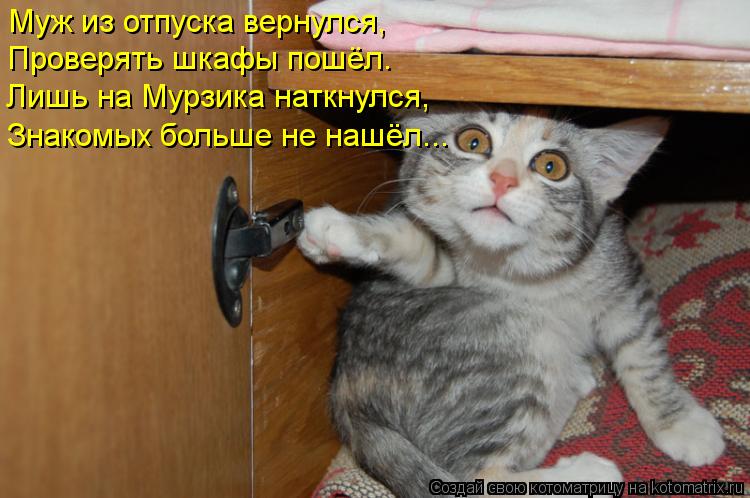 Котоматрица: Муж из отпуска вернулся, Проверять шкафы пошёл. Лишь на Мурзика наткнулся, Знакомых больше не нашёл...