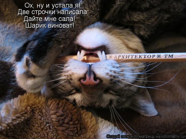 Ох, ну и устала я! Две строчки написала: Дайте мне сала! Шарик виноват!... Котоматрица: Ох, ну и устала я! Две строчки написала: Дайте мне сала! Шарик виноват!
