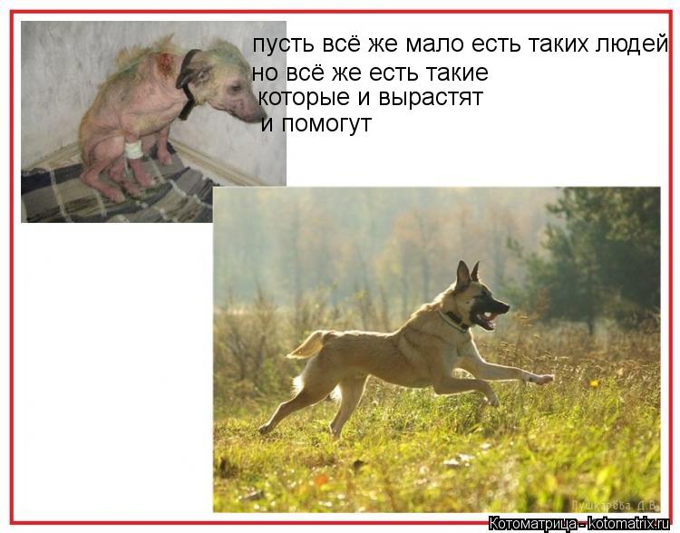 пусть всё же мало есть таких людей но всё же есть такие которые и вырастят и помогут... Котоматрица: пусть всё же мало есть таких людей но всё же есть такие которые и вырастят и помогут