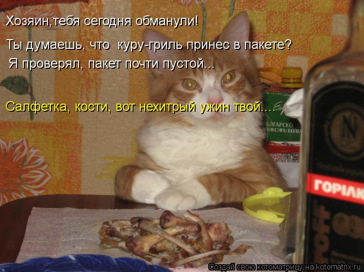 Хозяин,тебя сегодня обманули! Ты думаешь, что куру-гриль принес в пакете? Я проверял, пакет почти пу... Котоматрица: Хозяин,тебя сегодня обманули! Ты думаешь, что куру-гриль принес в пакете? Я проверял, пакет почти пустой... Салфетка, кости, вот нехитрый ужин