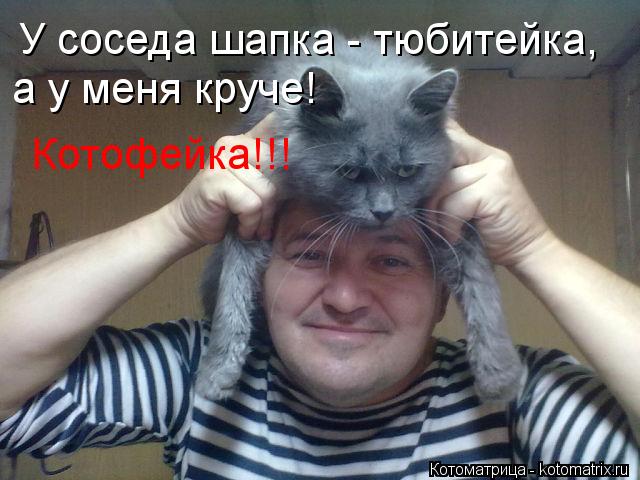 У соседа шапка - тюбитейка, а у меня круче! Котофейка!!!... Котоматрица: У соседа шапка - тюбитейка, а у меня круче! Котофейка!!!