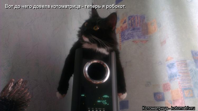 Вот до чего довела котоматрица - теперь я робокот.... Котоматрица: Вот до чего довела котоматрица - теперь я робокот.