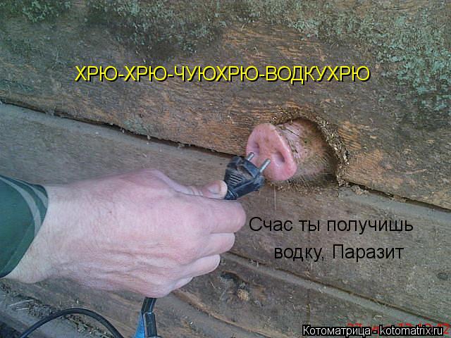 ХРЮ-ХРЮ-ЧУЮХРЮ-ВОДКУХРЮ Счас ты получишь водку, Паразит... Котоматрица: ХРЮ-ХРЮ-ЧУЮХРЮ-ВОДКУХРЮ Счас ты получишь водку, Паразит