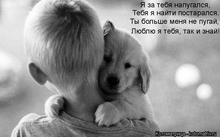 Я за тебя напугался, Тебя я найти постарался. Ты больше меня не пугай, Люблю я тебя, так и знай!... Котоматрица: Я за тебя напугался, Тебя я найти постарался. Ты больше меня не пугай, Люблю я тебя, так и знай!