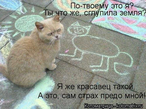 По-твоему это я? Ты что же, сглупила земля? Я же красавец такой, А это, сам страх предо мной!... Котоматрица: По-твоему это я? Ты что же, сглупила земля? Я же красавец такой, А это, сам страх предо мной!