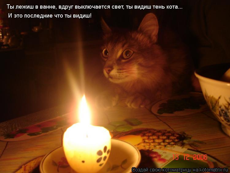 Ты лежиш в ванне, вдруг выключается свет, ты видиш тень кота... И это последние что ты видиш!... Котоматрица: Ты лежиш в ванне, вдруг выключается свет, ты видиш тень кота... И это последние что ты видиш!