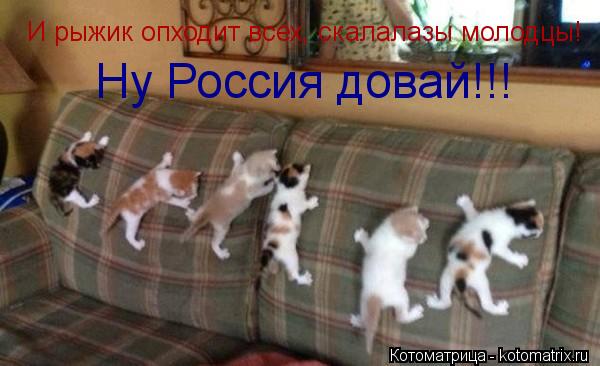 И рыжик опходит всех, скалалазы молодцы! Ну Россия довай!!!... Котоматрица: И рыжик опходит всех, скалалазы молодцы! Ну Россия довай!!!
