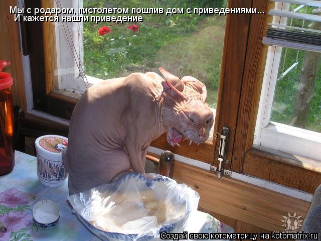 Мы с родаром, пистолетом пошлив дом с приведениями... И кажется нашли приведение... Котоматрица: Мы с родаром, пистолетом пошлив дом с приведениями... И кажется нашли приведение