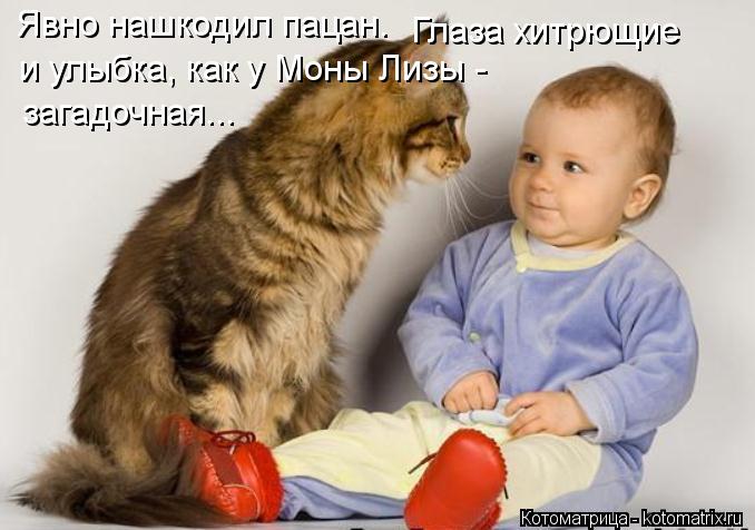 Явно нашкодил пацан. Глаза хитрющие и улыбка, как у Моны Лизы - загадочная...... Котоматрица: Явно нашкодил пацан. Глаза хитрющие и улыбка, как у Моны Лизы - загадочная...