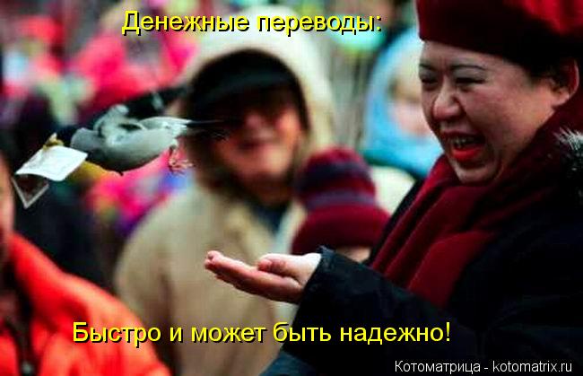 Денежные переводы: Быстро и может быть надежно!... Котоматрица: Денежные переводы: Быстро и может быть надежно!