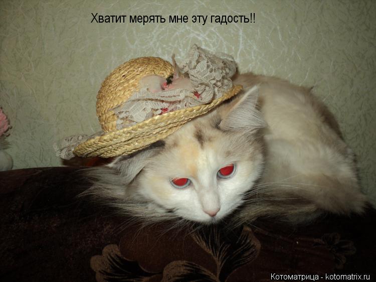Хватит мерять мне эту гадость!!... Котоматрица: Хватит мерять мне эту гадость!!