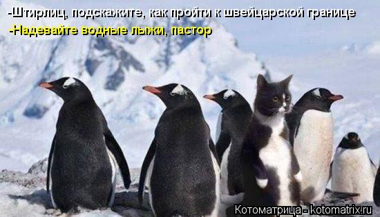 -Штирлиц, подскажите, как пройти к швейцарской границе -Надевайте водные лыжи, пастор... Котоматрица: -Штирлиц, подскажите, как пройти к швейцарской границе -Надевайте водные лыжи, пастор