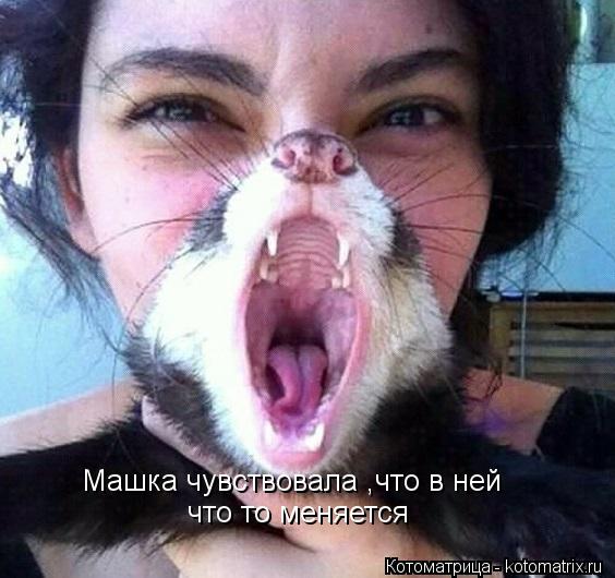 Машка чувствовала ,что в ней что то меняется... Котоматрица: Машка чувствовала ,что в ней что то меняется